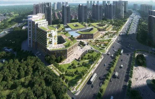 总投资30亿元 福建林文镜纪念医院即将开工