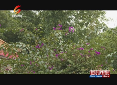 铜梁--看点‖傅云智的“花花”世界