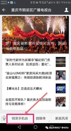 【直播预告】今天(7月27日)晚8:00一起来看铜梁区“扫黑除恶”文艺晚会