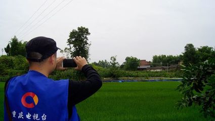 竹林深处的美味--走进铜梁荣盛竹鼠养殖基地