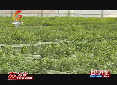 铜梁--看点‖吃水不忘挖井人 企业发展带动群众致富