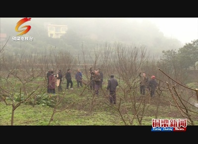 铜梁--看点‖坪漆村:摘掉贫困“帽子” 打响脱贫攻坚战