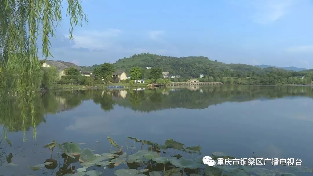 铜梁区平滩镇开展迎新年全民登山活动