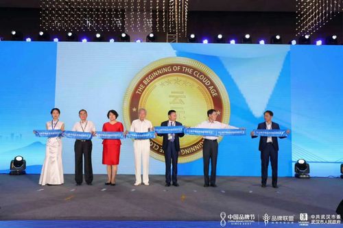 华云数字商品 云元