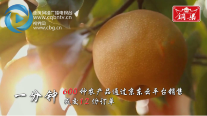 100秒看重庆·铜梁