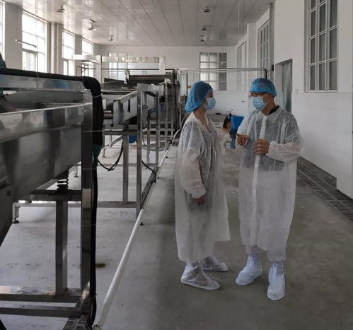 传承与创新 安徽电视台《皖美乡村》探访知香斋工厂，铜梁电视台同步先睹为快